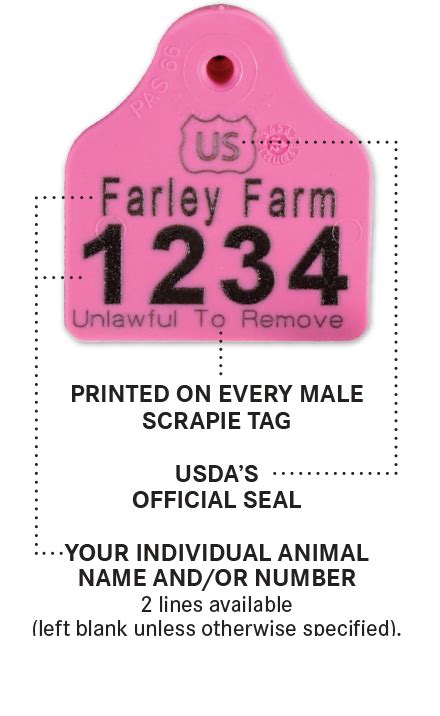 rfid scrapie tag|tattooed scrapie flock id.